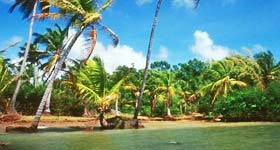 ilha_de_marajo.jpg