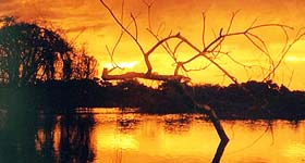 pantanal.jpg